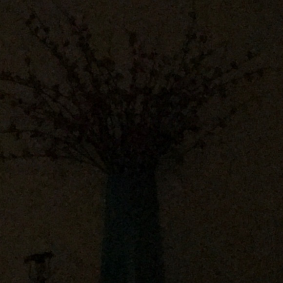 Meet your Posher, Nancy - Picture 1 of 1